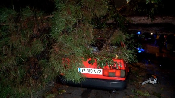 ANTALYA’DA YAĞMUR VE ŞİDDETLİ RÜZGAR 10 METRELİK AĞAÇ DEVRİLDİ: İKİ ARAÇ VE BİNA ZARAR GÖRDÜ