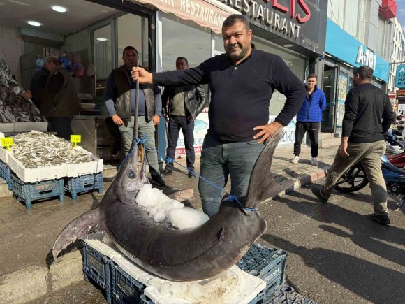 138 KİLOLUK KILIÇ BALIĞI İLGİ ODAĞI OLDU