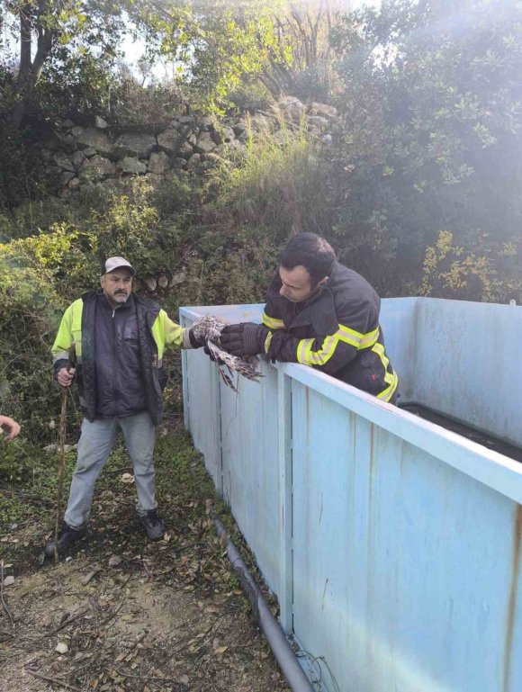YAYLADAĞI’NDA BAYKUŞ KURTARMA OPERASYONU