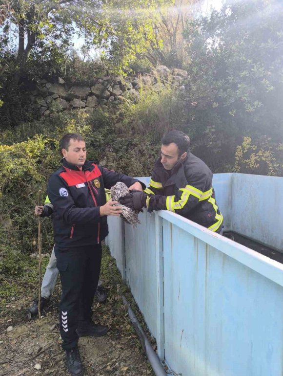 YAYLADAĞI’NDA BAYKUŞ KURTARMA OPERASYONU