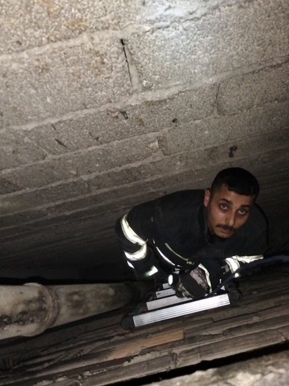 HAVALANDIRMA BOŞLUĞUNA DÜŞEN YAVRU KEDİYİ İTFAİYE KURTARDI