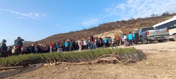ÖĞRENCİLER, ORMAN YANGININDA ZARAR GÖREN ALANA FİDAN DİKTİ