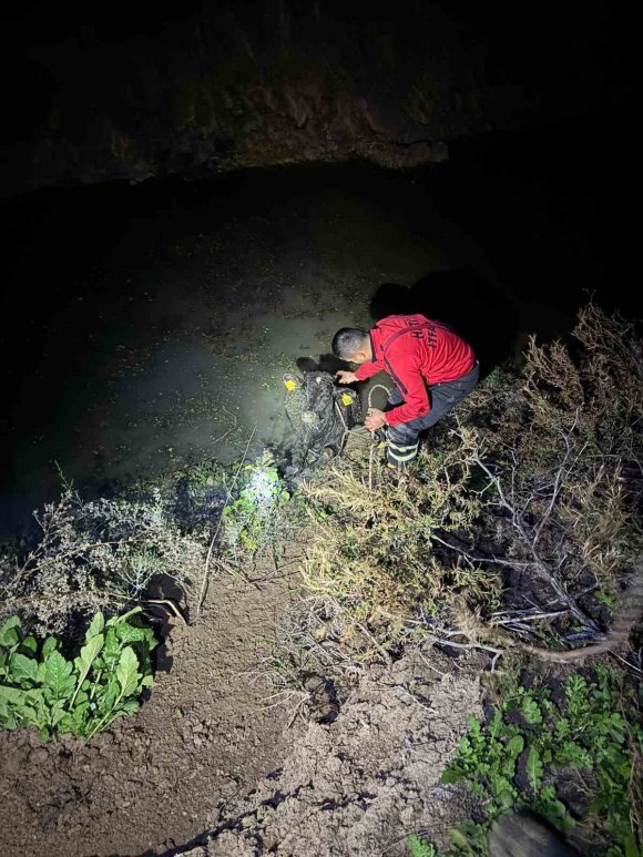 SU KANALINA DÜŞEN BUZAĞIYI İTFAİYE KURTARDI