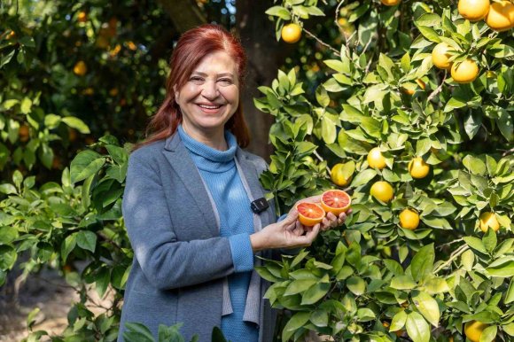 MERSİN KAN PORTAKALINDA HEDEF AB TESCİLİ