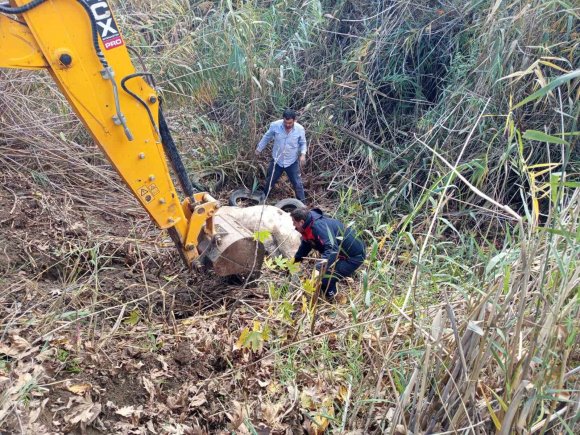 HATAY’DA DEREYE DÜŞEN İNEK İTFAİYE EKİPLERİ TARAFINDAN KURTARILDI