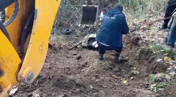 HATAY’DA DEREYE DÜŞEN İNEK İTFAİYE EKİPLERİ TARAFINDAN KURTARILDI