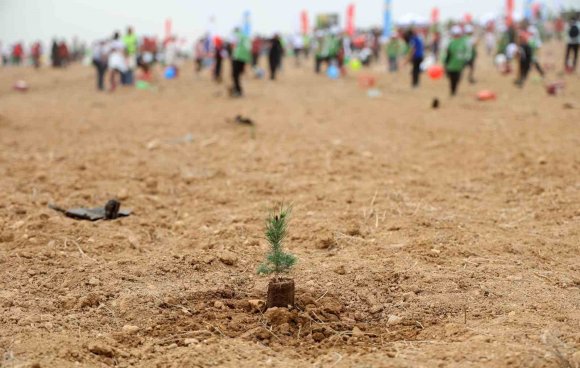 ATÜ YEŞİL KAMPÜS OLMA YOLUNDA İLERLİYOR: DİKİLEN FİDAN SAYISI 22 BİN 500’Ü BULDU