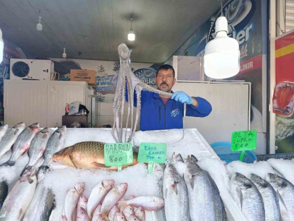 DENİZE KIYISI OLMAYAN KAHRAMANMARAŞ’TA BALIĞA YOĞUN İLGİ