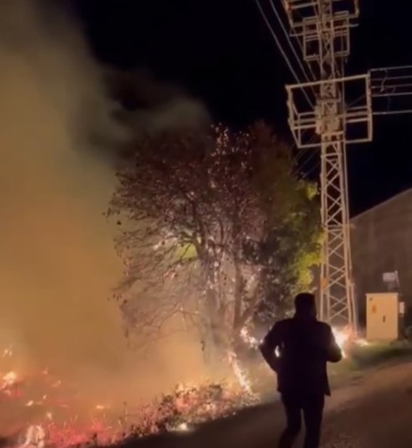 MERSİN’DE SAZLIK ALANDAKİ YANGIN SÖNDÜRÜLDÜ: BİR SERA ZARAR GÖRDÜ