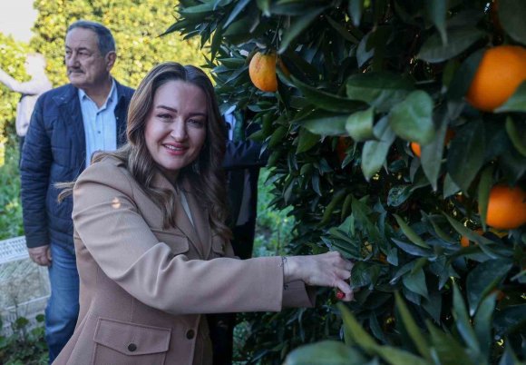 BAŞKAN VEKİLİ ÖZDEMİR: "FİNİKE’NİN İHTİYAÇLARI DOĞRULTUSUNDA ÇALIŞMALARIMIZI YAPIYORUZ"