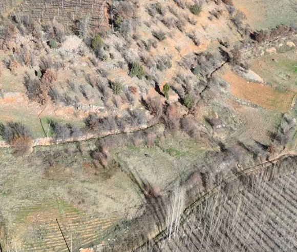 NURHAK’TA YABAN DOMUZU AVI YAPILDI