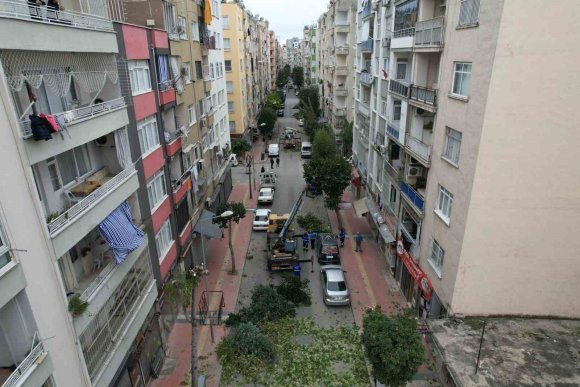 MERSİN’DE AĞAÇLARA KIŞ BAKIMI