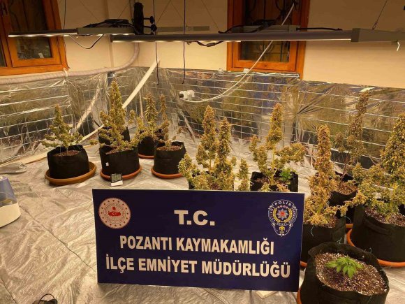 VİLLADA UYUŞTURUCU YETİŞTİRMİŞLER: TORBACI ’SEVGİLİLER’ YAKALANDI, 4 KİLO UYUŞTURUCU ELE GEÇİRİLDİ