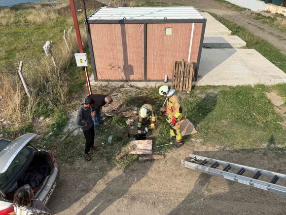 KUYUYA DÜŞEN KOYUNU İTFAİYE KURTARDI