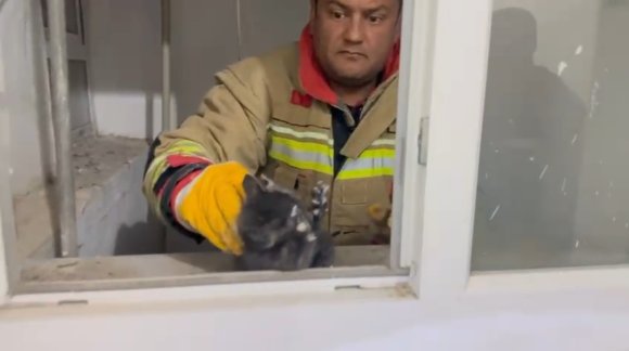 HATAY’DA HAVALANDIRMA BOŞLUĞUNA DÜŞEN YAVRU KEDİ KURTARILDI