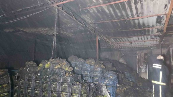 ALANYA’DA MUZ SARARTMA TESİSİNDE YANGIN: TONLARCA MUZ ZARAR GÖRDÜ