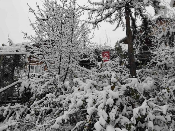 ADANALILARIN KAR SEVİNCİ