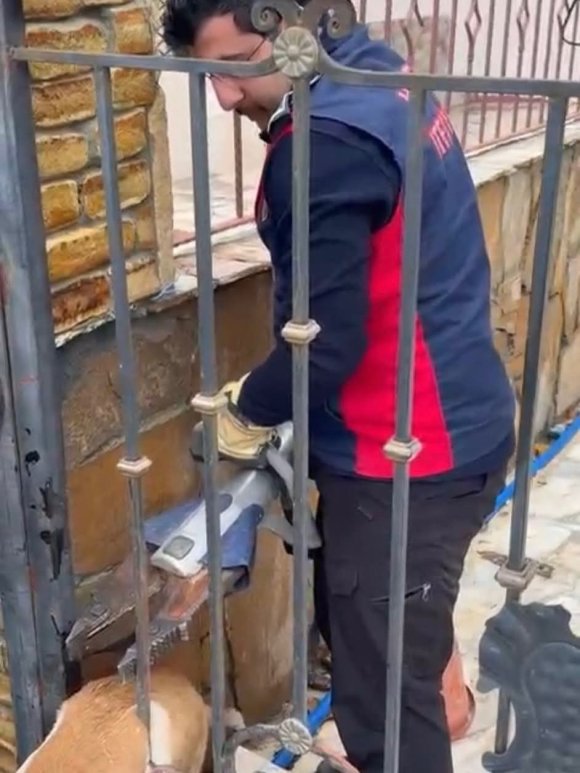 DEMİR KORKULUKLARA SIKIŞAN KÖPEĞİ İTFAİYE KURTARDI