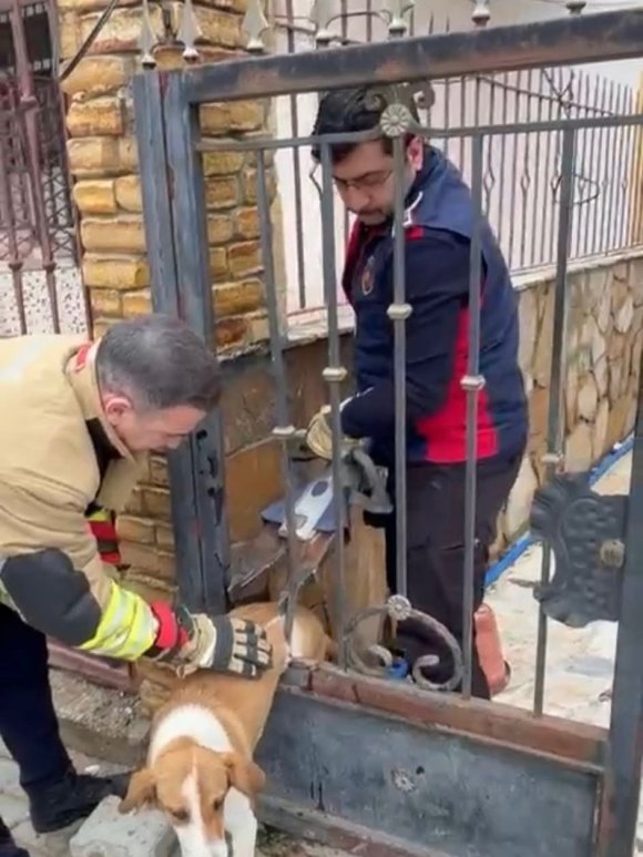 DEMİR KORKULUKLARA SIKIŞAN KÖPEĞİ İTFAİYE KURTARDI