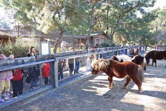 DOĞAL YAŞAM PARKI’NDA ÇOCUKLARA HAYVAN VE DOĞA SEVGİSİ AŞILANIYOR