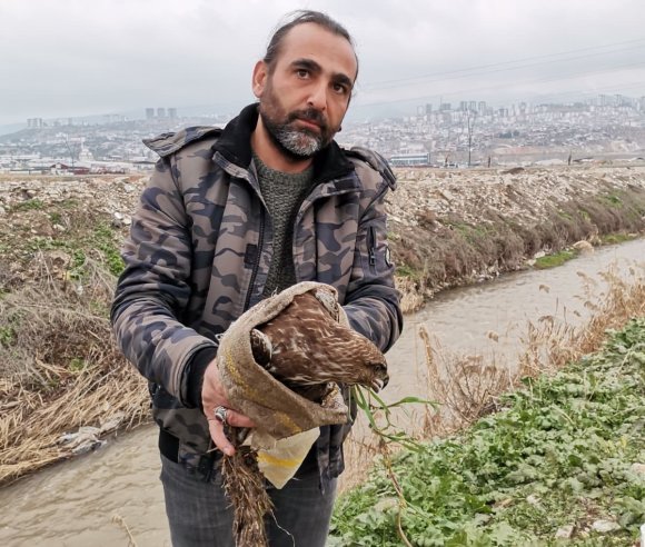 YARALI ŞAHİN KURTARILDI