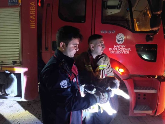 KUYUYA DÜŞEN YAVRU KÖPEĞİ İTFAİYE KURTARDI