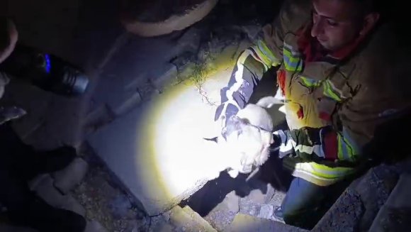 KUYUYA DÜŞEN YAVRU KÖPEĞİ İTFAİYE KURTARDI