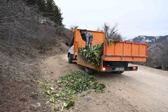 ISPARTA’DA KIŞIN AÇ KALAN YABAN HAYVANLARINA DUYARLI DOKUNUŞ
