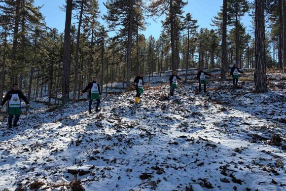 SAİMBEYLİ’DE ORMAN GELECEĞE HAZIRLANIYOR