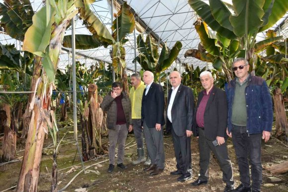 TZOB GENEL BAŞKANI BAYRAKTAR: 