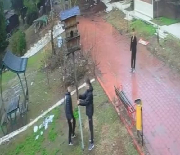 ADANA’DA PARKTAKİ KUŞ YUVASINI PARÇALADILAR