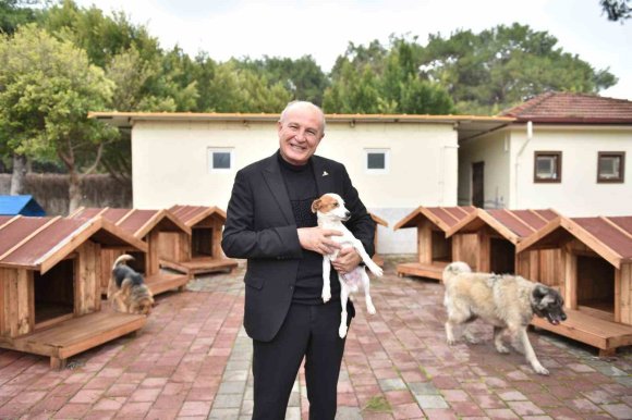 HAYIRSEVERLERDEN 8 ADET KÖPEK VE 50 ADET KEDİ KULÜBESİ