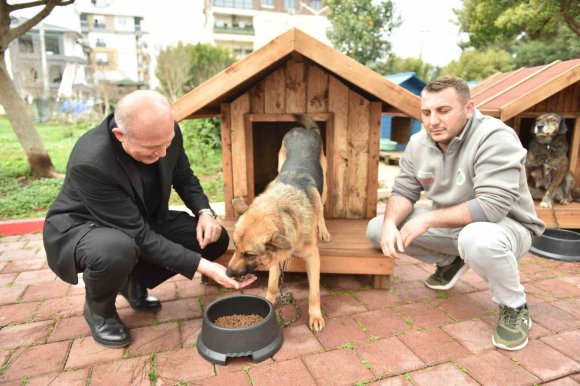 HAYIRSEVERLERDEN 8 ADET KÖPEK VE 50 ADET KEDİ KULÜBESİ