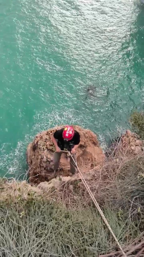 FALEZLERDE MAHSUR KALAN KEDİYİ FİLM GİBİ OPERASYONLA KURTARDILAR