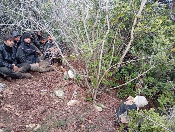 HATAY’DA ZEYTİNLİK ALANDA 30 DÜZENSİZ GÖÇMEN YAKALANDI