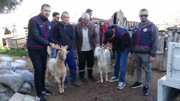 JANDARMA KAYIP 5 KOYUN İÇİN 3 İŞ YERİ VE 9 MESKENE AİT TOPLAM 24 SAATLİK GÜVENLİK KAMERASINI SANİYE SANİYE İNCELEDİ