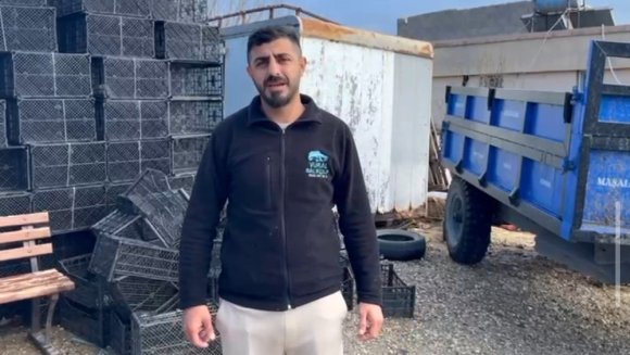 ÖLÜ YUNUS SAHİLE VURDU