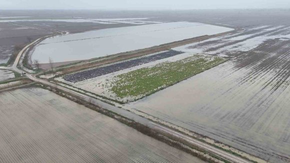 SAĞANAK YAĞMURDAN SONRA BİNLERCE DÖNÜM TARIM ARAZİSİ SULAR ALTINDA KALDI