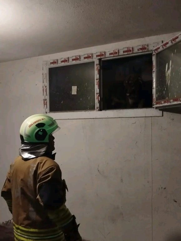 HATAY’DA HAVALANDIRMA BOŞLUĞUNA DÜŞEN KÖPEK KURTARILDI