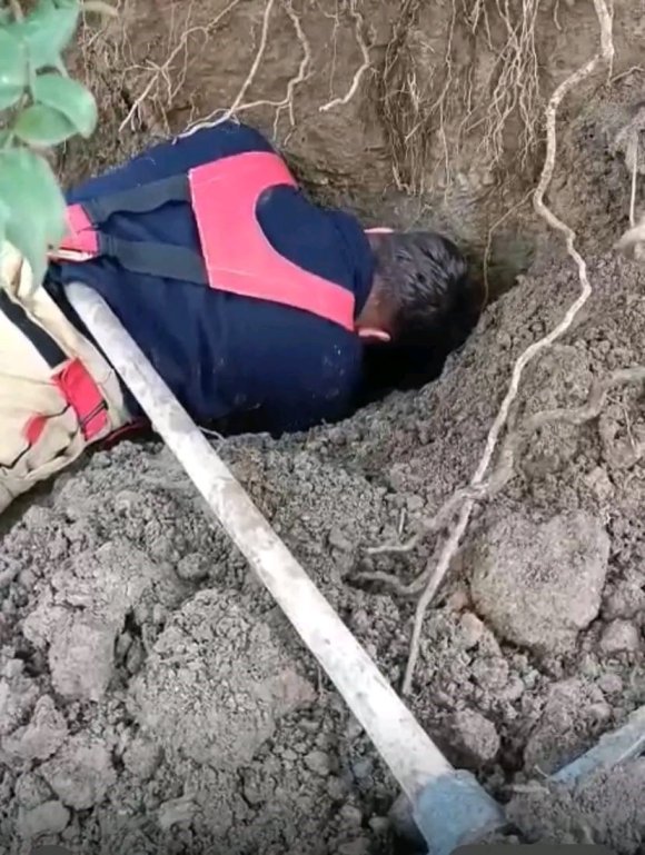 HATAY’DA TOPRAĞIN KAYMASIYLA GÖÇÜK ALTINDA KALAN YAVRU KÖPEKLER KURTARILDI