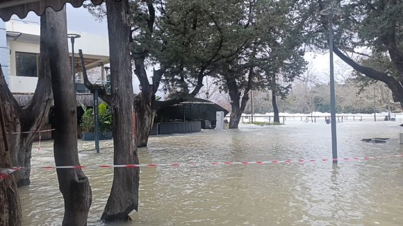 MANAVGAT IRMAĞI’NDA SU DEBİSİ YÜKSELDİ, İŞLETMELERİ SU BASTI