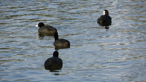 MANAVGAT’TA DEV DALGALAR TİTREYENGÖL’Ü DENİZLE BİRLEŞTİRDİ