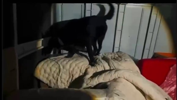 KAMYONET KASASINDA BATTANİYEYLE SAKLANAN 11 KİLO 200 GRAM UYUŞTURUCU YAKALANDI