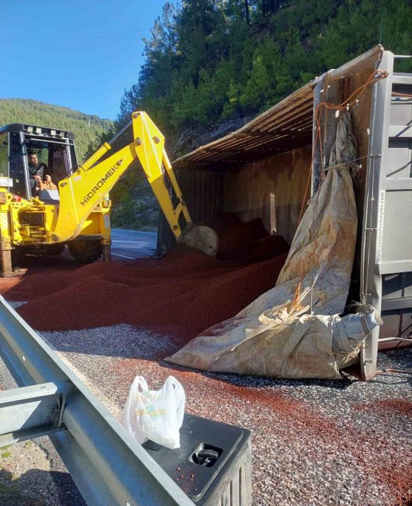 PEYZAJ MALZEMESİ YÜKLÜ TIR DEVRİLDİ