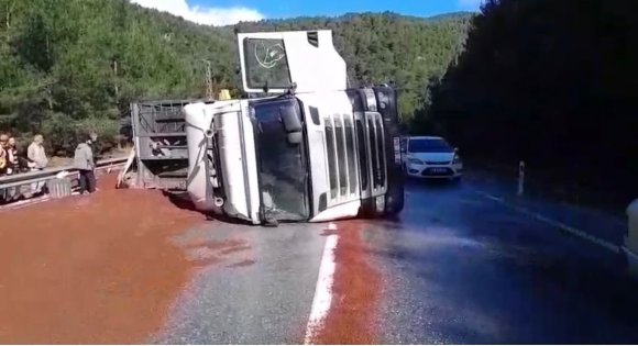 PEYZAJ MALZEMESİ YÜKLÜ TIR DEVRİLDİ