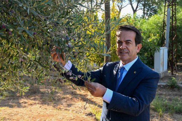 ANTALYA ZEYTİNYAĞINI MARKALAŞTIRACAK 30 ÖNERİ