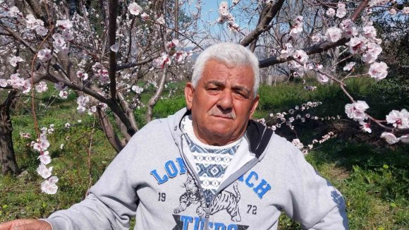 MUT’TA KAYISI AĞAÇLARI ADETA GELİNLİĞE BÜRÜNDÜ