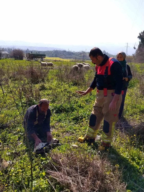 DEFNE’DE KUYUYA DÜŞEN KUZUYU İTFAİYE KURTARDI