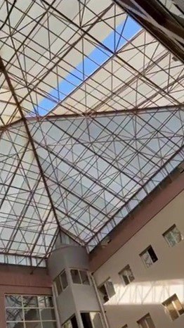 ADANA’DA ŞİDDETLİ RÜZGAR AĞAÇLARI DEVİRDİ