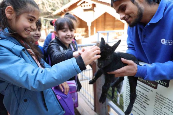 ÇOCUKLAR HAYVANLARI VE YABAN HAYATINI TANIMA FIRSATI BULDU